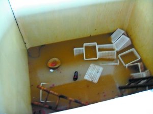广东汕尾一工人跌落腌制池4人施救 均中毒身亡