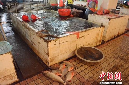 广西贺州鱼市兴旺 未受贺江水污染事件影响(图)