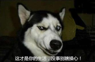 有本事去找前女友算账啊！