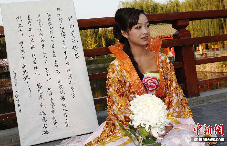 穿越女开封万元卖菊花