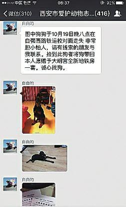 网上现天价寻狗启示:找到狗狗送房子(图)