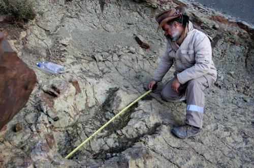 史前巨型肉食性恐龙大脚印现身！直径1.2米