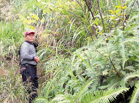 永康山里惊现华南虎?记者实地探寻虎踪