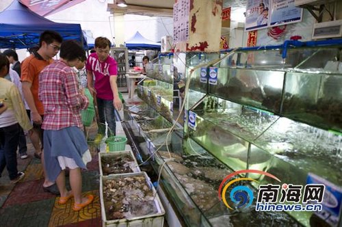 三亚海鲜排档生意冷落 称受宰客门影响所害