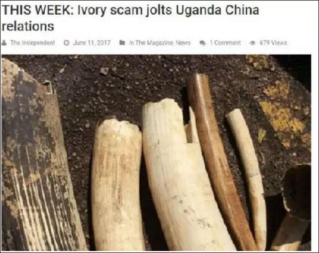 总统都感“丢脸”！这个非洲国家特地向中国道歉