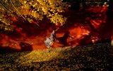 少林寺秋景醉人 红黄交汇文武入画