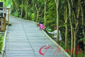 滇缅边民跨国婚姻调查：手续难办 大多有实无名