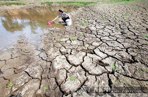 广西田林遭遇大旱 超200条河流断流(组