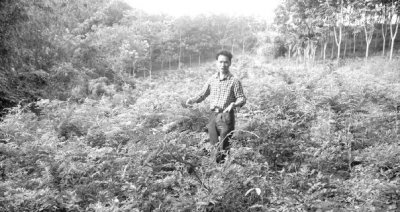 琼中:三江之源发展特色农业谱写致富经