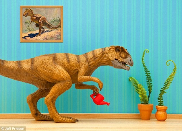 彩色狗年收入(3)