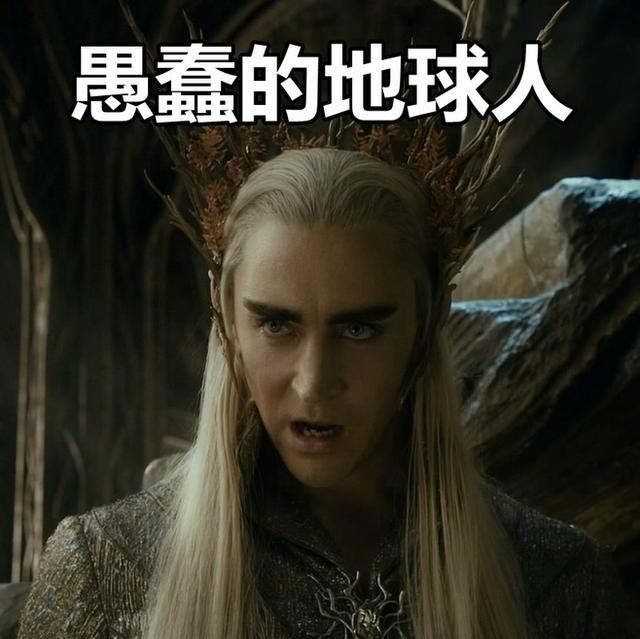 阿姨,您还招女婿吗?