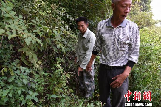 千人密集大搜寻3岁男童迷失深山63小时后奇迹生还