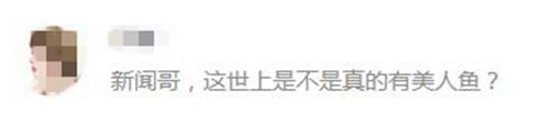 新闻哥吐槽：婆媳二人先后怀孕，可咋整？