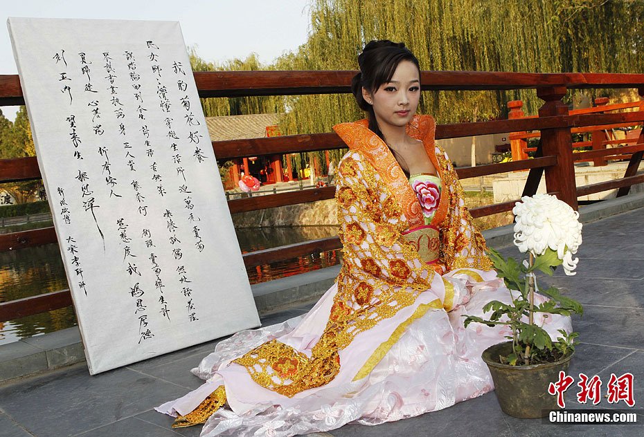 穿越女开封万元卖菊花