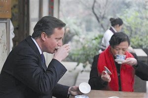 卡梅伦呼吁英国增加中文课 称法语德语课程太