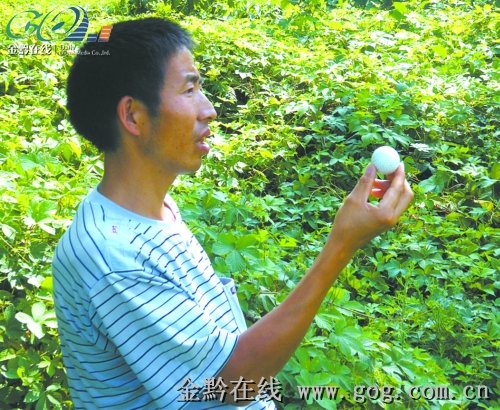 捡高尔夫球卖村民被宣告无罪。