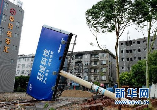 台风潭美登陆福建福清:整排树被狂风吹倒(图)