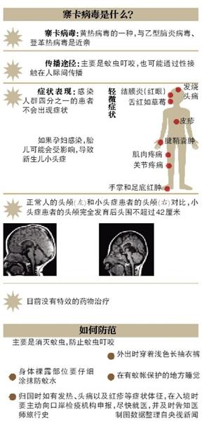 寨卡病毒波及南美多国 或将成为都市流行病