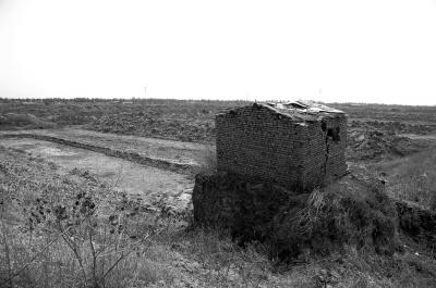 天津七里海湿地苇田被挖土破坏 村民维权被刑拘