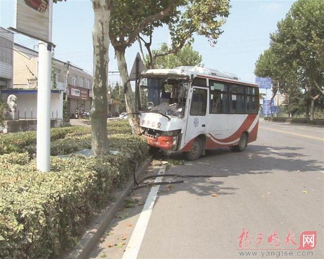 大巴车司机分神 一头撞上路边大树