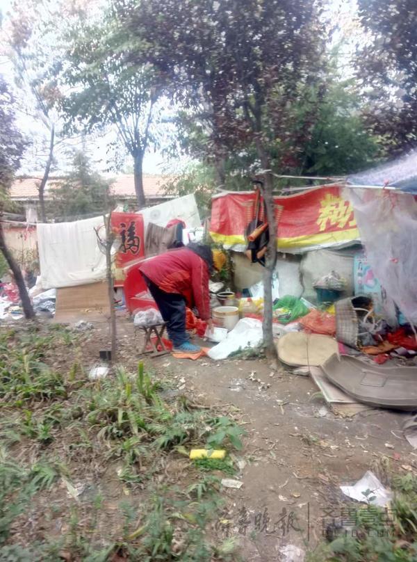 流浪女占用100平米绿化带 搭起“三室一厅”