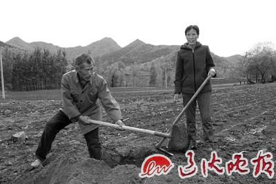 村民种地发现辽代文物 引来邻居频繁挖地寻宝-图片版权归原作者所有