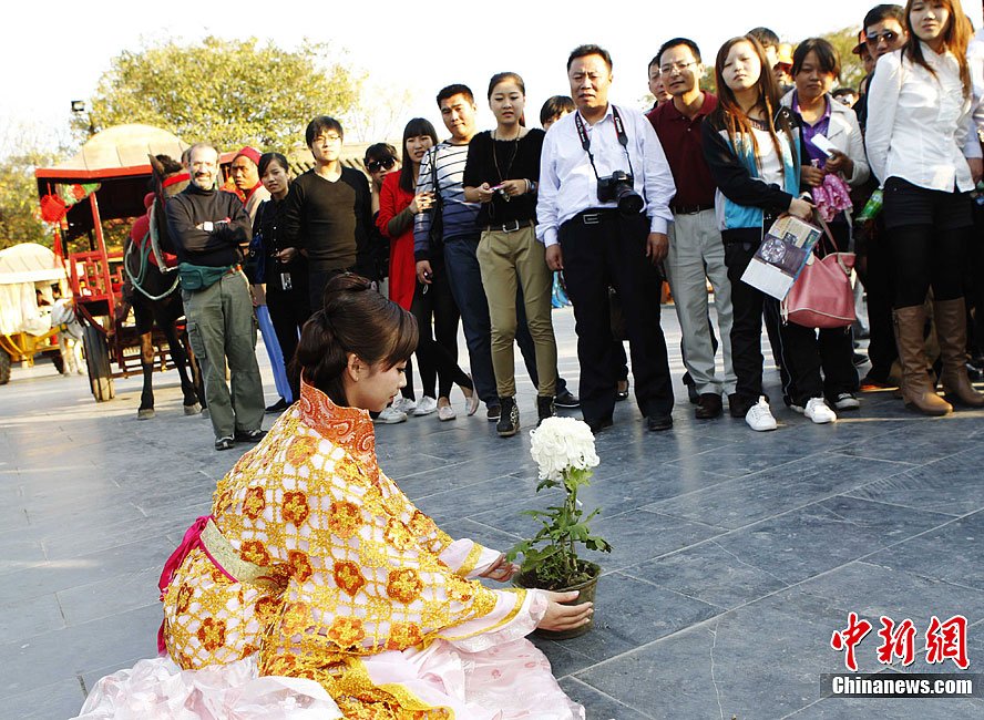 穿越女开封万元卖菊花