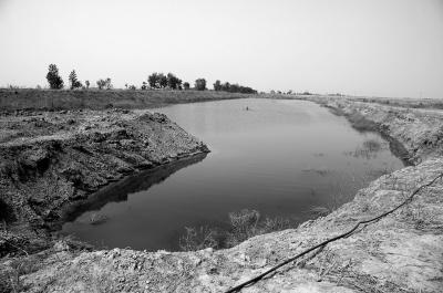 天津七里海湿地苇田被挖土破坏 村民维权被刑拘