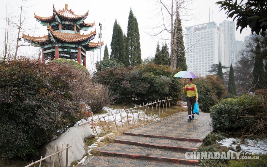 图片故事:隐居在城市街头的<em>胸罩</em>哥,他们越是