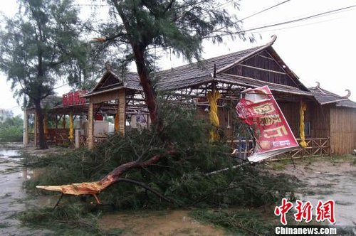 广东惠州遭受超强台风天兔重创 经济损失严重