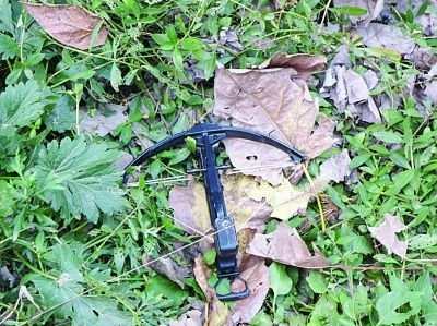 偷狗贼用弓弩射毒针杀狗 逃跑中发病被抓(图)
