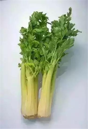 Ӽұر ȱ仹ıʷ