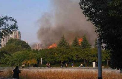 无锡一公园疑因孩子玩火致100多棵树被大火烧毁
