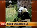 视频：中方证实居美大熊猫逗留再延长五年