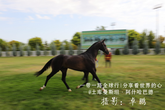 记者手记： 踏着古人的步履 重拾丝路荣光