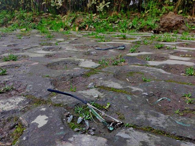 武汉15岁学霸女孩跳18楼身亡 调考离目标差几分