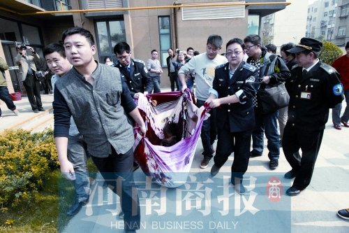 藏獒连续伤人被特警6枪击毙 将警车保险杠撞歪