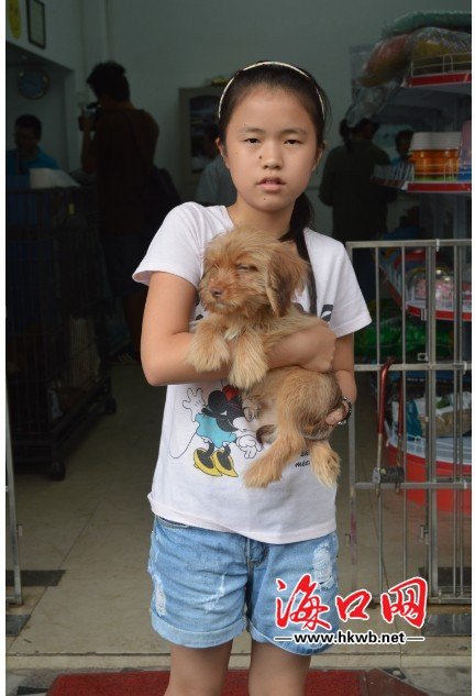 海南省小动物保护协会可直接领养流浪狗 每月