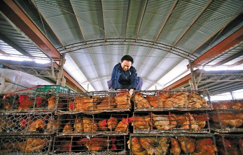 上海鸡档肉档生意冷清 市民改吃海鲜