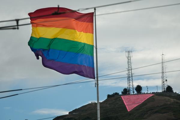 美国最高法院宣布同性婚姻合法遭部分州长反对