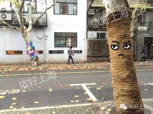上海街头多棵梧桐树“穿”上萌萌哒毛衣，不知谁做的