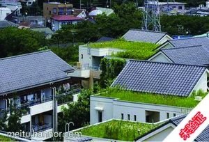 日本东京的屋顶绿化。