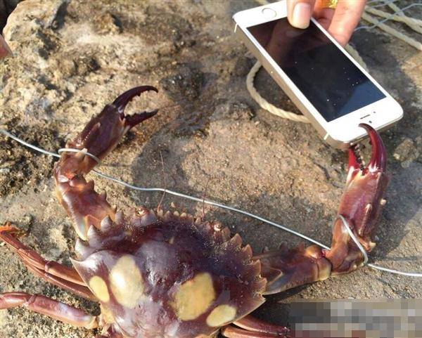 iPhoneз ۳Ǯ(ͼ)