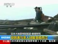 视频：日本地震海啸获救者与亲人团聚喜极而泣