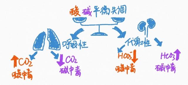 「吃太多酸的东西会酸中毒吗」你该这样回答