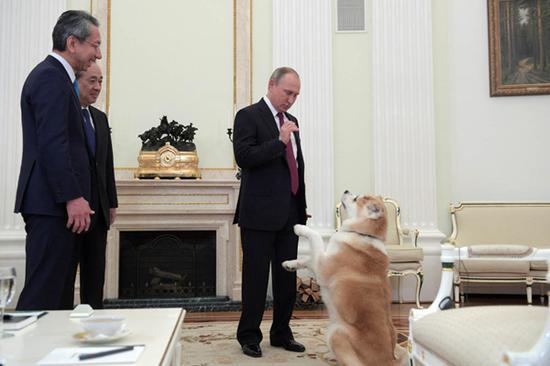 普京带着日本狗接见日本媒体人 当面逗弄(图)