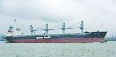 中國貨輪船長遭尼日利亞海盜射殺