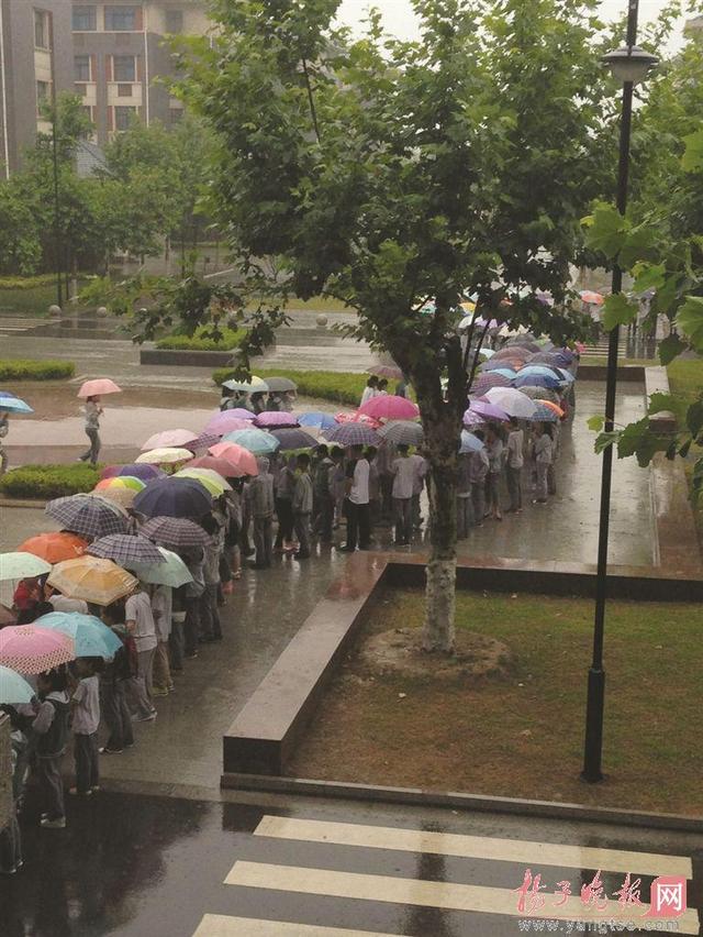 200多中学生雨中举伞 为没伞同学撑“遮雨走廊”