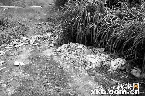 广州佛山交界水污染严重 鱼塘猪场散恶臭(图)