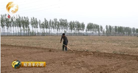 每亩地三次施肥要支出300元左右,喷农药12次支出70元,这仅仅是物料的成本,而人工成本可就高得多了。